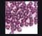 Preciosa Bicone Crystal Beads Compatible with Swarovski for Earrings Bracelet Necklace Charm Anklet Keychain Jewelry Making Supplies
